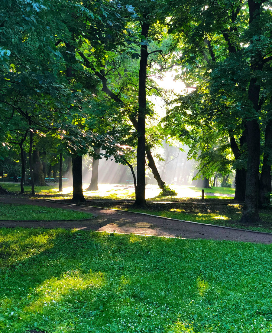 Stadtpark Wiener Neustadt